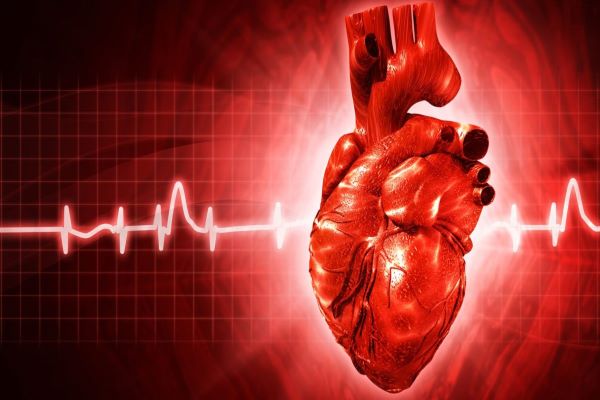 EPS RFA & Arrhythmia Management